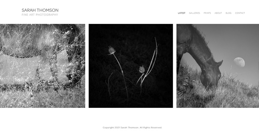 Squarespace Website for Fine Art Photographer in Marin