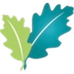 blueoakwebdesign.com-logo